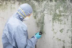  Pittsburg, CA Mold Remediation Pros